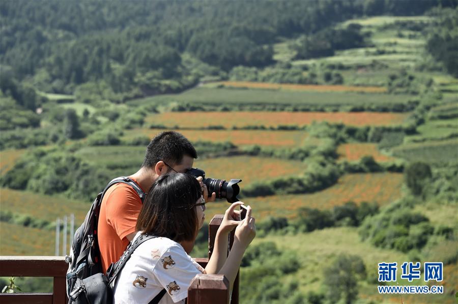 （圖文互動）（1）這座小城，鐫刻下怎樣的&ldquo;世園印記&rdquo;&mdash;&mdash;北京世園會開園一周年探訪延慶