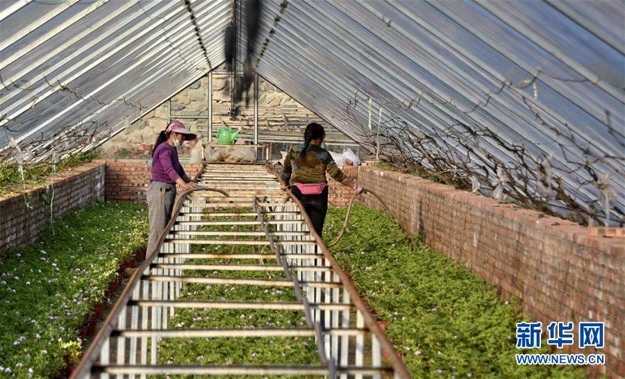 （圖文互動）（2）這座小城，鐫刻下怎樣的&ldquo;世園印記&rdquo;&mdash;&mdash;北京世園會開園一周年探訪延慶