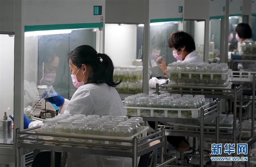 （來(lái)自一線的調(diào)查報(bào)告&middot;圖文互動(dòng)）（6）搶出一個(gè)身位謀發(fā)展&mdash;&mdash;河南許昌經(jīng)濟(jì)復(fù)蘇見(jiàn)聞