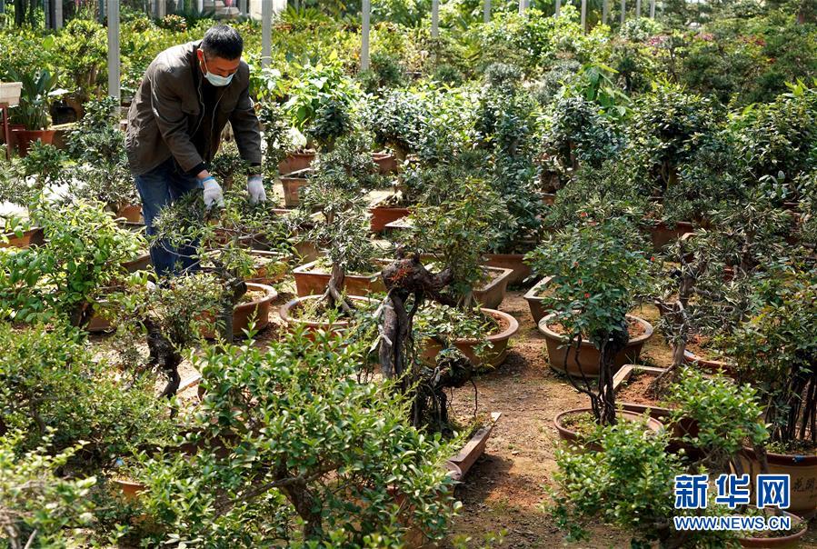 （來(lái)自一線的調(diào)查報(bào)告&middot;圖文互動(dòng)）（7）搶出一個(gè)身位謀發(fā)展&mdash;&mdash;河南許昌經(jīng)濟(jì)復(fù)蘇見(jiàn)聞