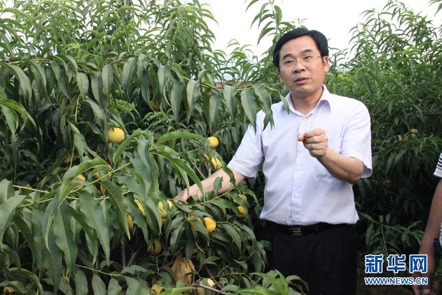 （圖文互動）（2）&ldquo;為脫貧而來，為脫貧而去&rdquo;&mdash;&mdash;追記湖南炎陵縣委原書記黃詩燕 