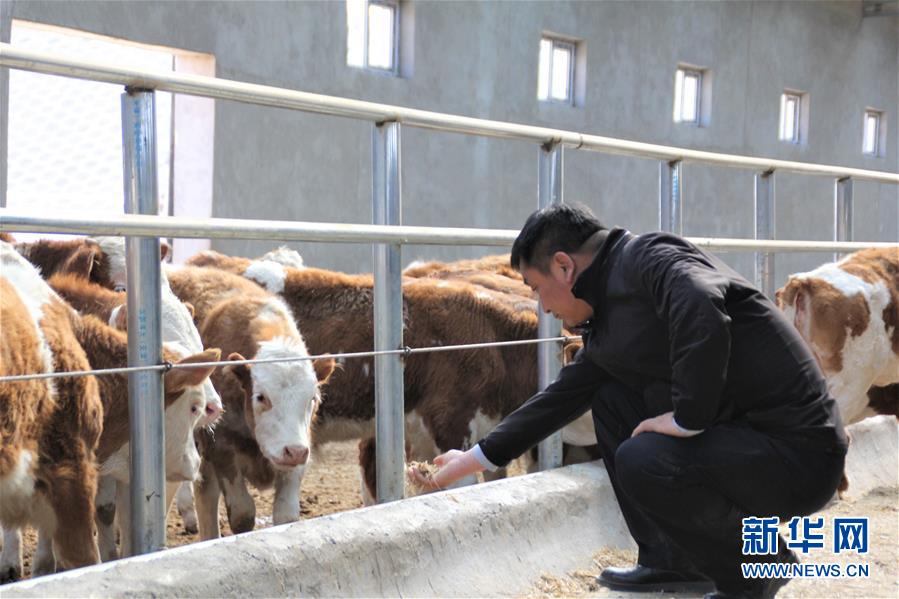 （脫貧攻堅(jiān)&middot;扶貧印記）（4）&ldquo;牛書記&rdquo;帶領(lǐng)牧民發(fā)展&ldquo;牛產(chǎn)業(yè)&rdquo;助力脫貧