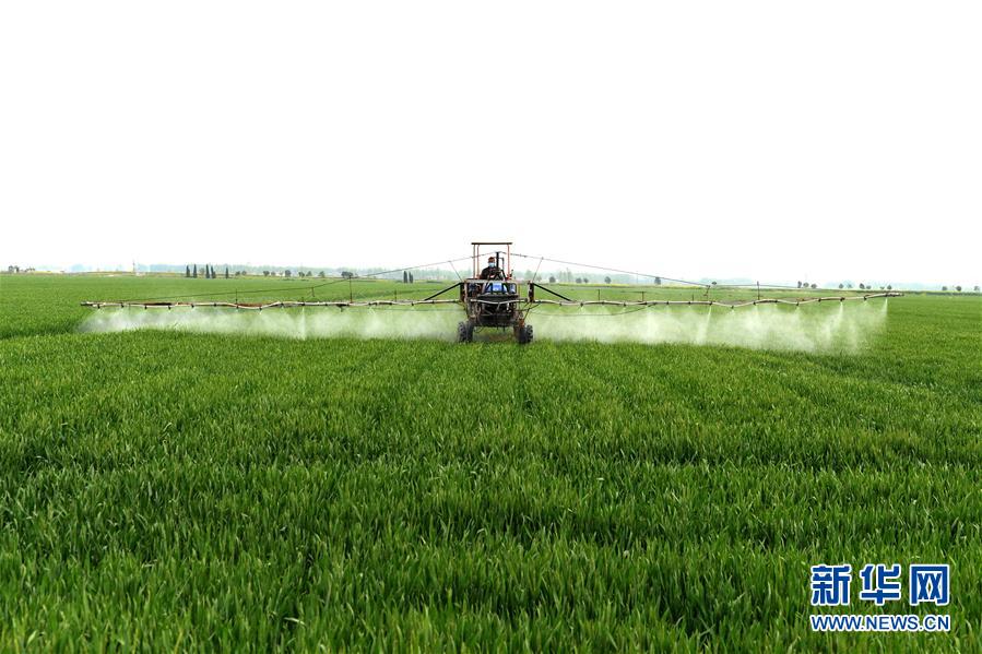 （在習近平新時代中國特色社會主義思想指引下&mdash;&mdash;新時代新作為新篇章&middot;習近平總書記關切事&middot;圖文互動）（10）新農(nóng)事、新希望&mdash;&mdash;夏收前田間新動態(tài)掃描