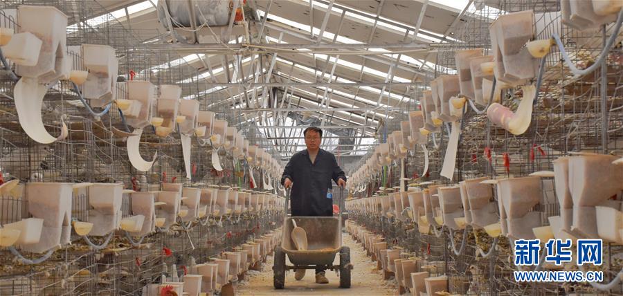 （新華全媒頭條&middot;兩會精神看落實&middot;圖文互動）（1）努力讓群眾看到變化得到實惠&mdash;&mdash;落實全國兩會精神持續(xù)保障和改善民生述評