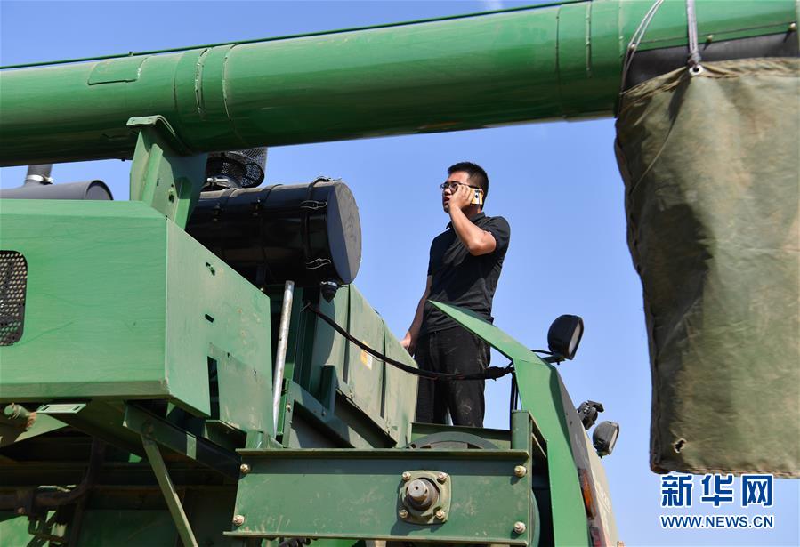 （關(guān)注三夏&middot;圖文互動）（4）麥田&ldquo;后浪&rdquo;的農(nóng)事新說