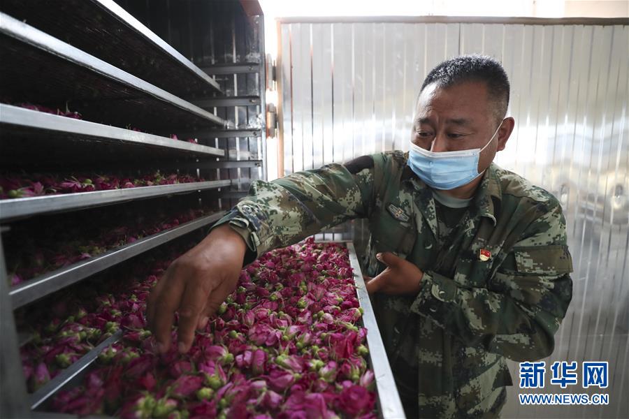 （熱點(diǎn)鮮報(bào)&middot;走向我們的小康生活&middot;圖文互動）（2）你沒聽過的伊瑪堪&mdash;&mdash;&ldquo;北大倉&rdquo;里話小康之三