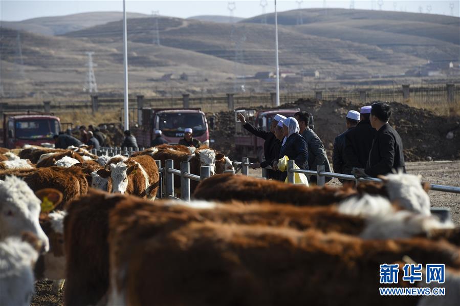 （在習(xí)近平新時(shí)代中國特色社會(huì)主義思想指引下&mdash;&mdash;新時(shí)代新作為新篇章&middot;習(xí)近平總書記關(guān)切事&middot;圖文互動(dòng)）（2）六盤山下的誓言&mdash;&mdash;來自寧夏的脫貧故事