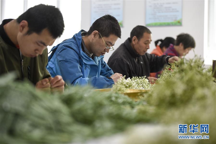 （在習(xí)近平新時(shí)代中國特色社會(huì)主義思想指引下&mdash;&mdash;新時(shí)代新作為新篇章&middot;習(xí)近平總書記關(guān)切事&middot;圖文互動(dòng)）（5）六盤山下的誓言&mdash;&mdash;來自寧夏的脫貧故事