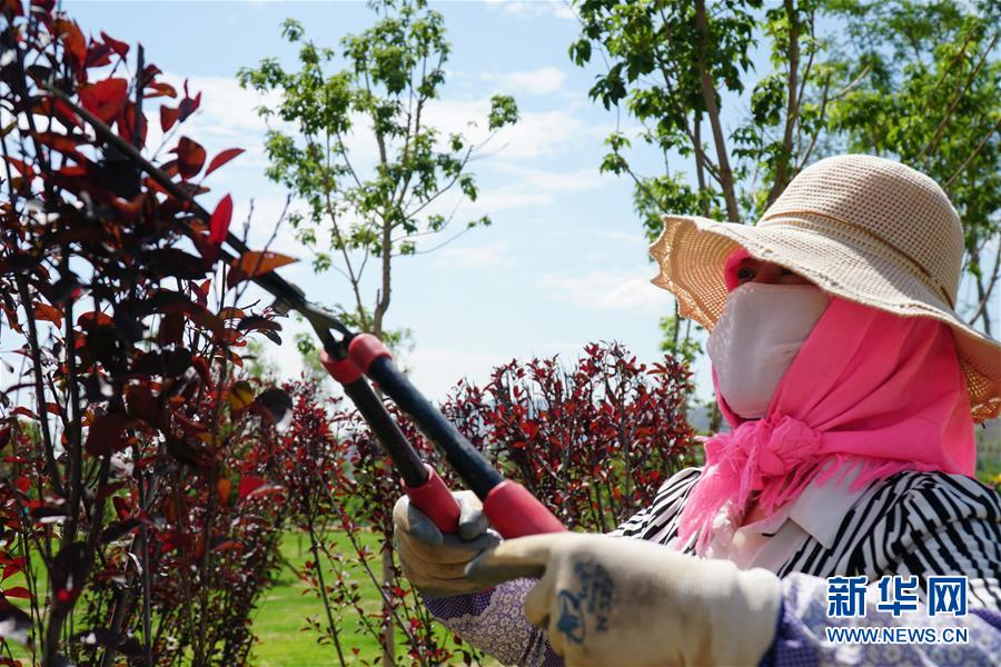 （決戰(zhàn)決勝脫貧攻堅(jiān)&middot;圖文互動(dòng)）（2）李三姐有了&ldquo;美&rdquo;差事