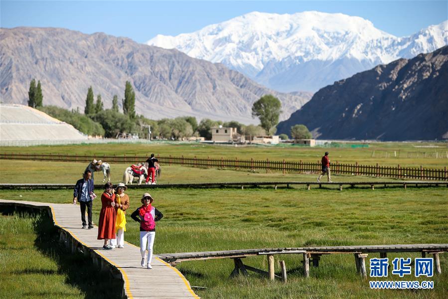 （新華全媒頭條&middot;圖文互動）（15）飛吧，&ldquo;帕米爾雄鷹&rdquo;！