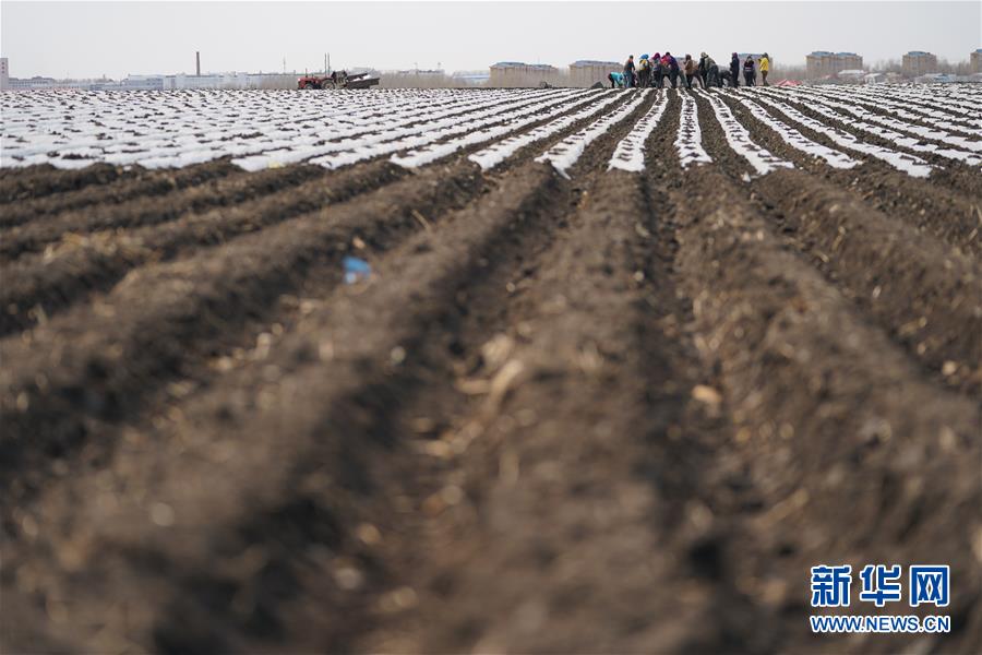 （在習(xí)近平新時(shí)代中國(guó)特色社會(huì)主義思想指引下&mdash;&mdash;新時(shí)代新作為新篇章&middot;習(xí)近平總書(shū)記關(guān)切事&middot;圖文互動(dòng)）（3）讓每一寸耕地都成為豐收的沃土&mdash;&mdash;我國(guó)加強(qiáng)耕地保護(hù)推進(jìn)&ldquo;藏糧于地&rdquo;