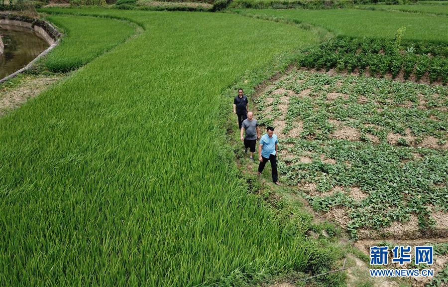 （圖文互動(dòng)）（6）湘南深山，堅(jiān)守扶貧一線的黨員之家