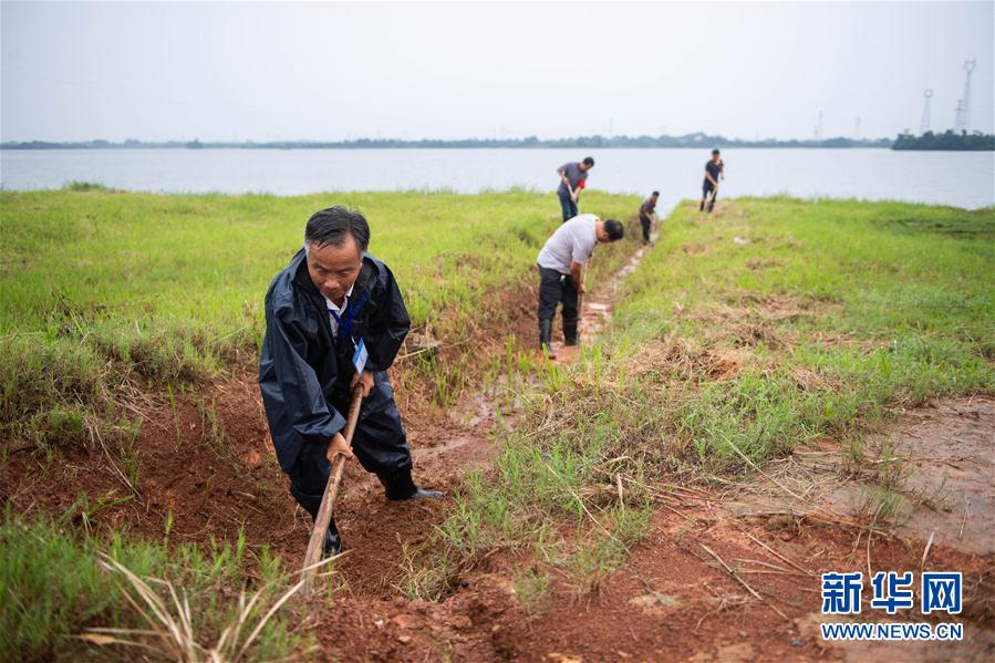 （防汛抗洪&middot;圖文互動）（9）鏖戰(zhàn)南洞庭