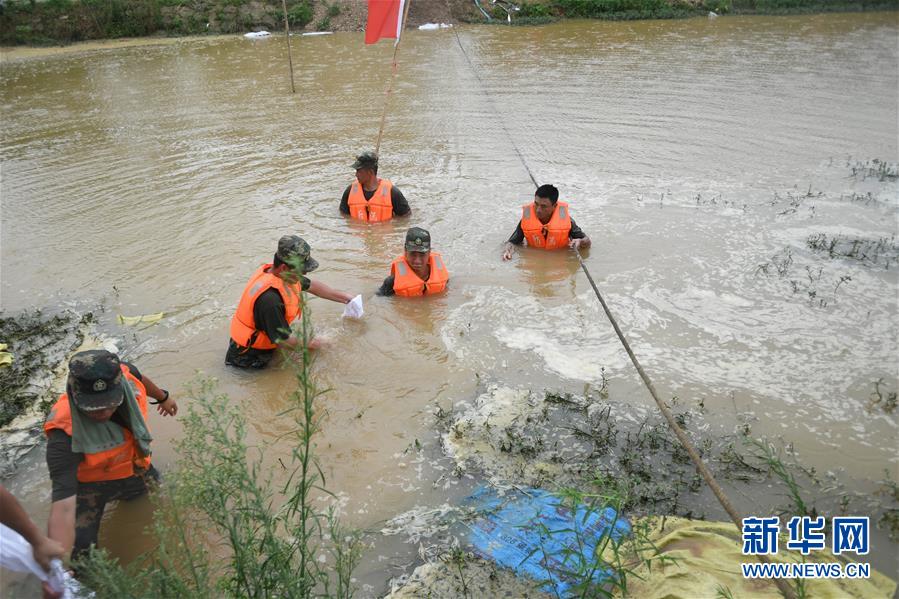 （防汛抗洪&middot;圖文互動）（1）&ldquo;大堤上有了&lsquo;導(dǎo)彈綠&rsquo;，我們老百姓安了心&rdquo;