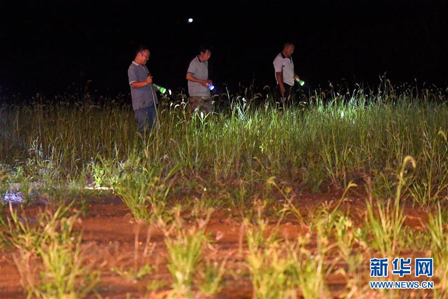 （防汛抗洪&middot;圖文互動(dòng)）（2）&ldquo;保衛(wèi)家園，誰都不能是旁觀者&rdquo;&mdash;&mdash;夜訪洞庭湖大堤防汛一線