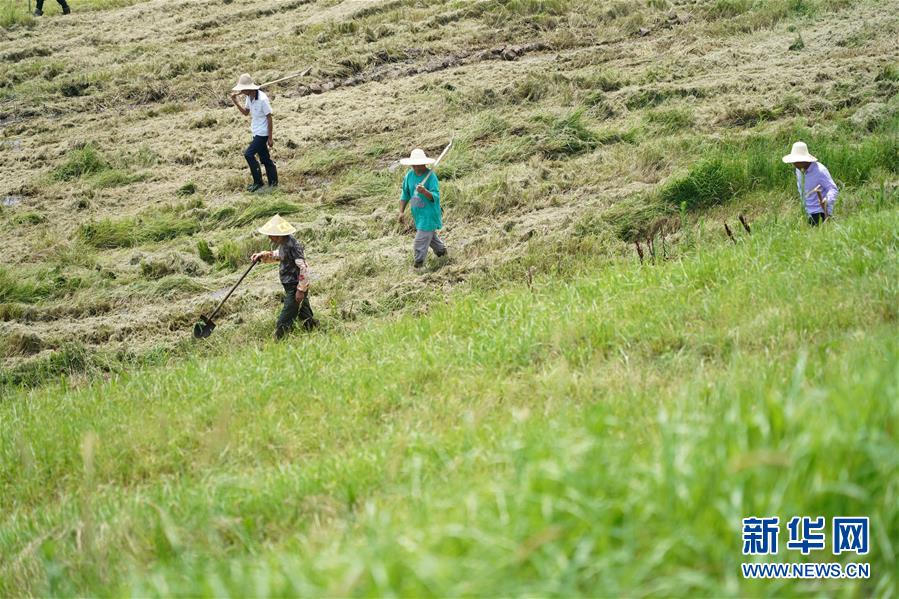 （防汛抗洪&middot;圖文互動(dòng)）（4）特寫(xiě)：康山大堤上的脫貧&ldquo;守堤人&rdquo;