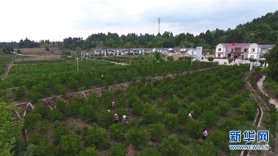 （新華全媒頭條&middot;走向我們的小康生活&middot;圖文互動）（11）奮斗繪就&ldquo;新天府&rdquo;&mdash;&mdash;川蜀大地干群&ldquo;戰(zhàn)貧&rdquo;軌跡掃描