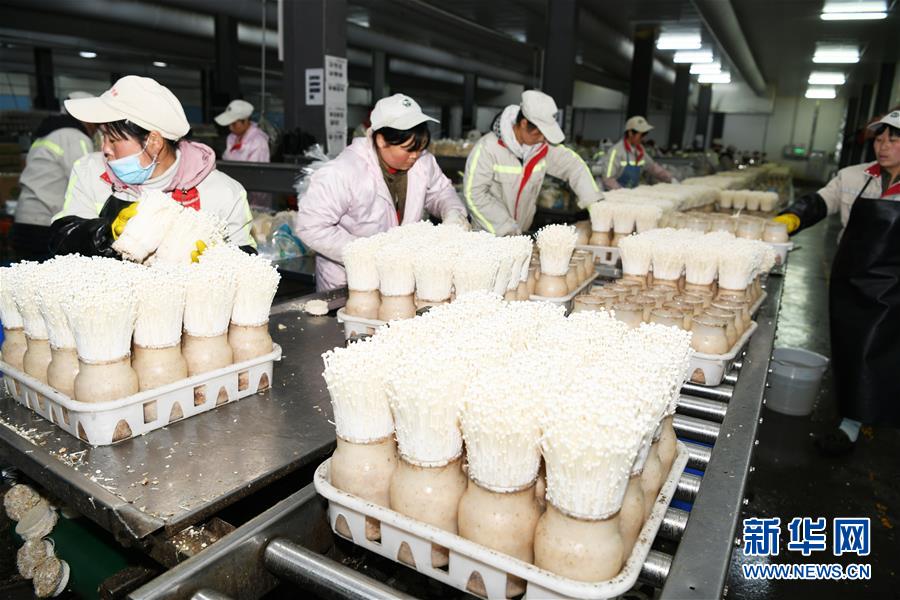 （走向我們的小康生活&middot;圖文互動）（2）烏蒙&ldquo;同心&rdquo;戰(zhàn)貧困