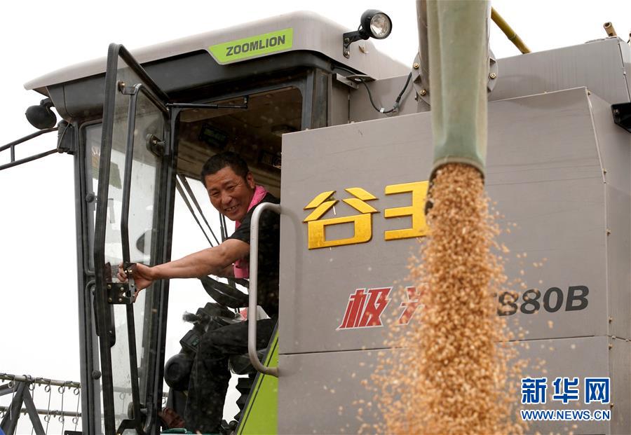 （在習(xí)近平新時代中國特色社會主義思想指引下&mdash;&mdash;新時代新作為新篇章&middot;習(xí)近平總書記關(guān)切事&middot;圖文互動）（3）食為政首&mdash;&mdash;穩(wěn)住農(nóng)業(yè)基本盤增添發(fā)展底氣