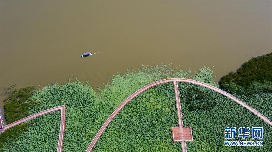 （在習(xí)近平新時(shí)代中國特色社會(huì)主義思想指引下&mdash;&mdash;新時(shí)代新作為新篇章&middot;習(xí)近平總書記關(guān)切事&middot;圖文互動(dòng)）（8）綠色映底蘊(yùn)，山水見初心&mdash;&mdash;生態(tài)優(yōu)先、綠色發(fā)展持續(xù)造福群眾美好生活