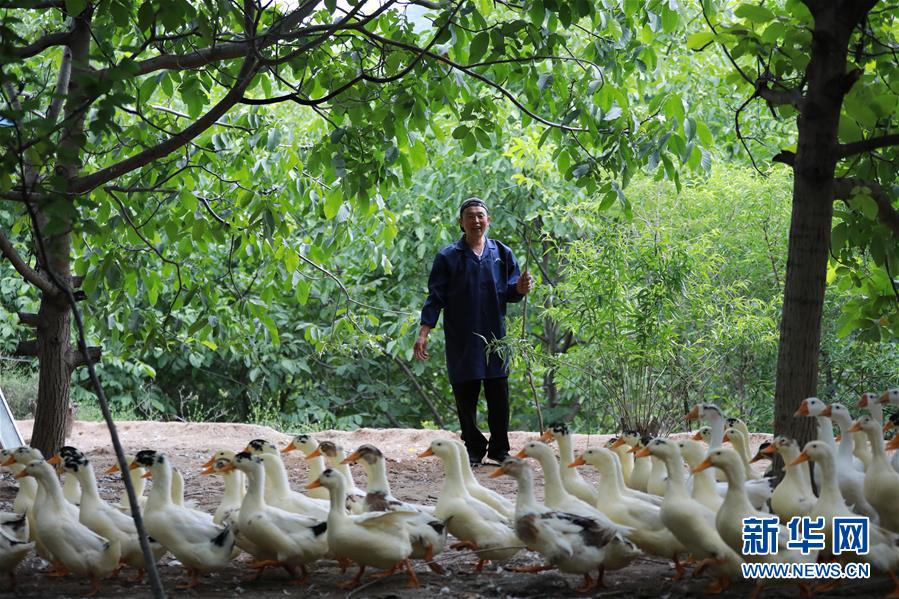 （新華全媒頭條&middot;圖文互動(dòng)）（8）穩(wěn)中求進(jìn) 奮勇前進(jìn)&mdash;&mdash;從中央政治局會(huì)議看中國經(jīng)濟(jì)走勢(shì)