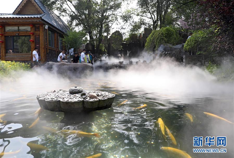 (走向我們的小康生活·圖文互動(dòng))(2)從“遼寧藍(lán)”到“花果山”——遼寧推進(jìn)生態(tài)文明建設(shè)剪影