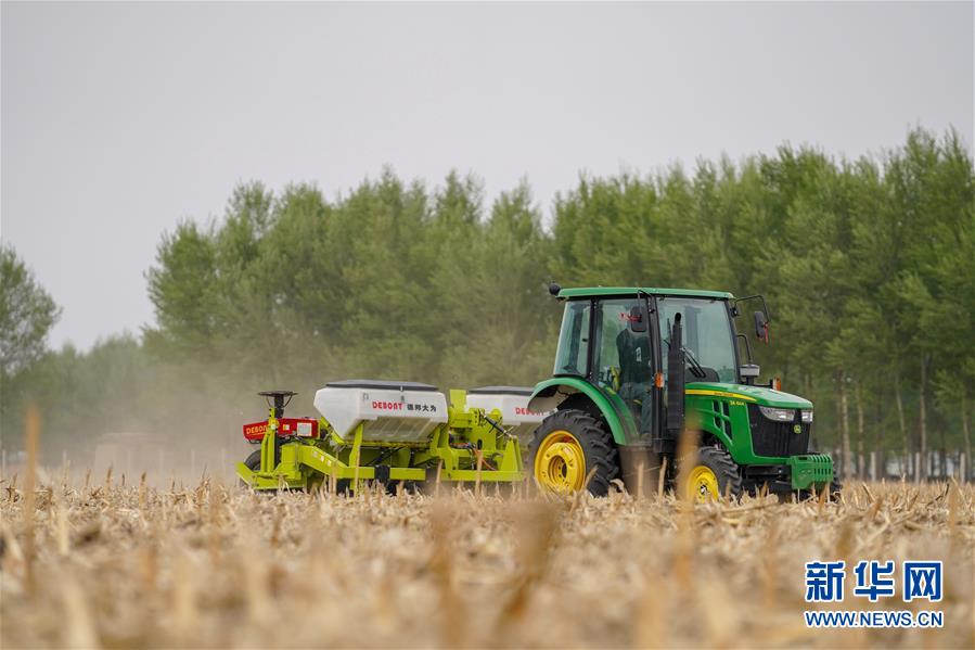 （在習近平新時代中國特色社會主義思想指引下&mdash;&mdash;新時代新作為新篇章&middot;習近平總書記關切事&middot;圖文互動）（7）為黑土加&ldquo;油&rdquo;&mdash;&mdash;&ldquo;耕地中的大熊貓&rdquo;，我們這樣保護