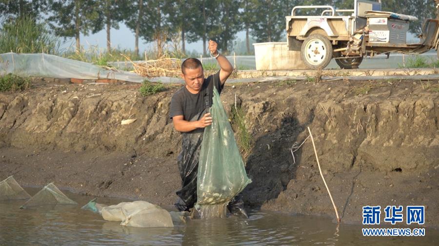 （鄉(xiāng)村振興&middot;圖文互動）（2）歡喜莊的&ldquo;歡喜事&rdquo;