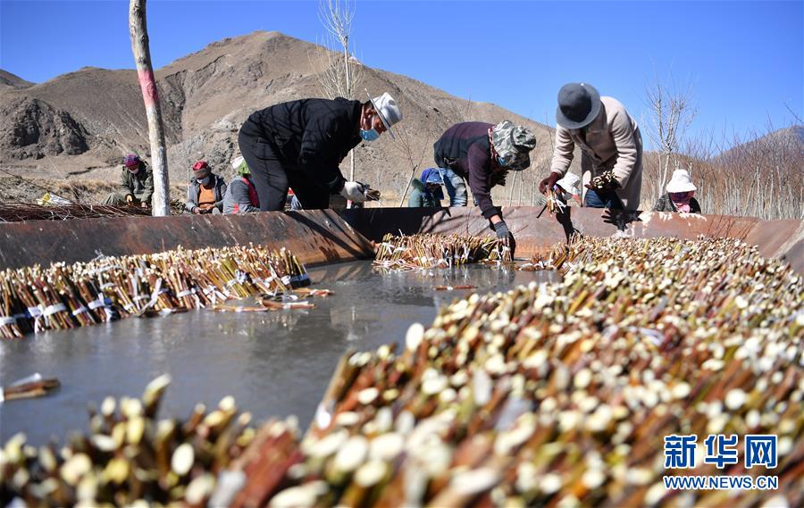 （圖文互動(dòng)）（1）&ldquo;最美第三極&rdquo;：筑起生態(tài)文明高地