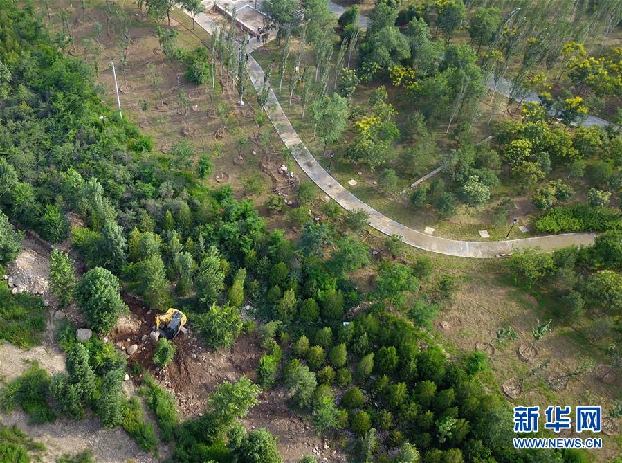 （新華全媒頭條&middot;圖文互動(dòng)）（15）扎實(shí)推進(jìn)籌辦，不負(fù)青春韶華&mdash;&mdash;北京冬奧會(huì)籌辦備戰(zhàn)克服疫情影響平穩(wěn)推進(jìn)