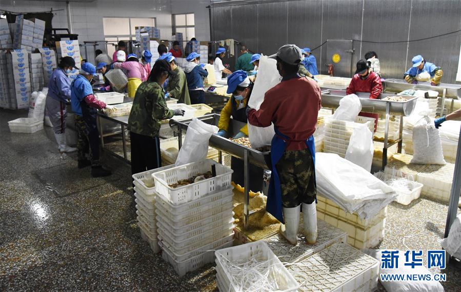 （新華全媒頭條&middot;走向我們的小康生活&middot;圖文互動(dòng)）（3）幸福小康入畫(huà)來(lái)&mdash;&mdash;齊魯大地描繪小康新畫(huà)卷