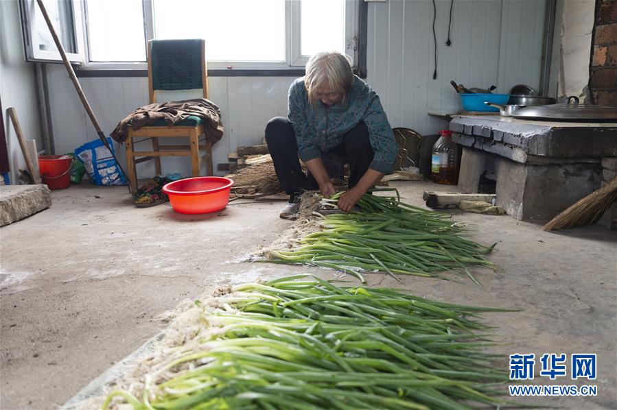 （決戰(zhàn)決勝脫貧攻堅(jiān)&middot;圖文互動(dòng)）（4）老張的菜園