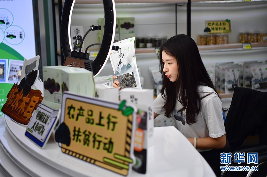 （走向我們的小康生活&middot;圖文互動）（3）綠了青山，紅了日子&mdash;&mdash;秦巴山區(qū)群眾繪出小康&ldquo;調(diào)色板&rdquo;