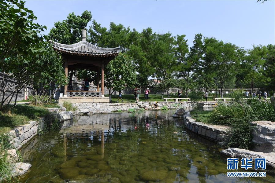 （走向我們的小康生活&middot;圖文互動(dòng)）（3）小橋、流水、書(shū)香、人家&mdash;&mdash;老北京胡同里的恬靜棲居