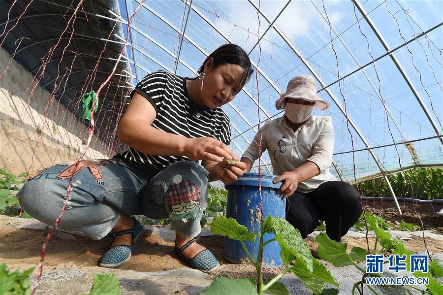 （新華全媒頭條&middot;走向我們的小康生活&middot;圖文互動）（5）&ldquo;苦甲&rdquo;不再，&ldquo;甘味&rdquo;綿長&mdash;&mdash;脫貧攻堅的甘肅味道