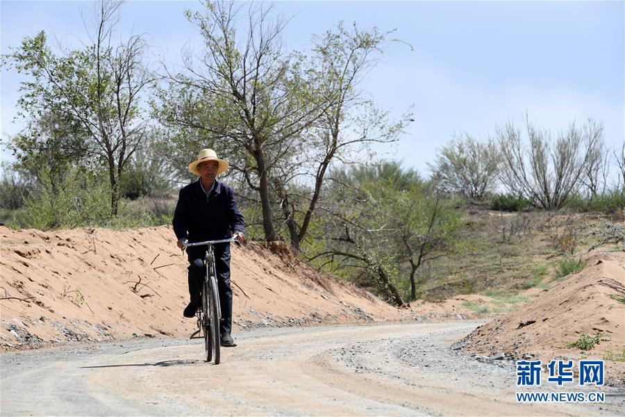 （新華全媒頭條&middot;走向我們的小康生活&middot;圖文互動）（7）&ldquo;苦甲&rdquo;不再，&ldquo;甘味&rdquo;綿長&mdash;&mdash;脫貧攻堅的甘肅味道