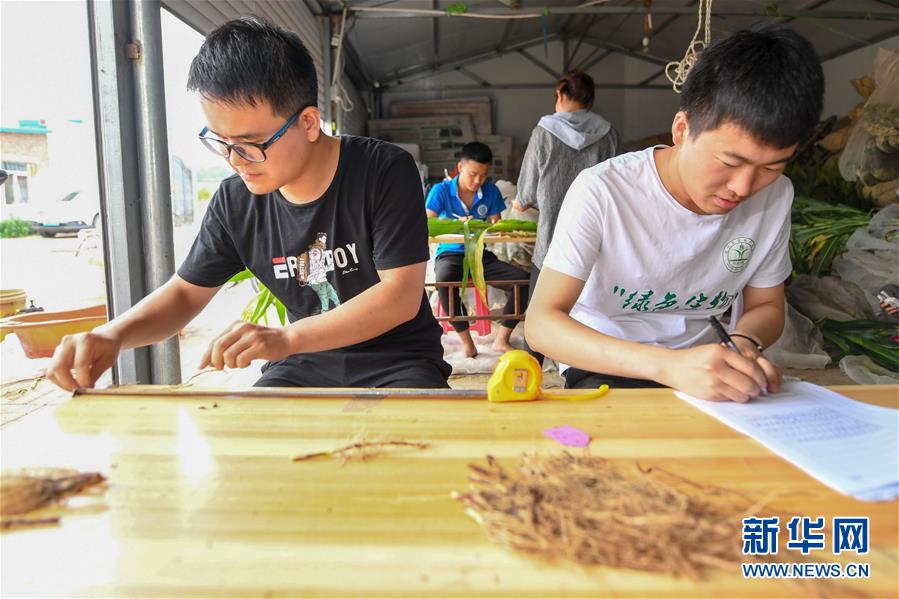 （新華全媒頭條&middot;圖文互動）（8）為現(xiàn)代農(nóng)業(yè)探新路&mdash;&mdash;來自吉林梨樹的田野報(bào)告