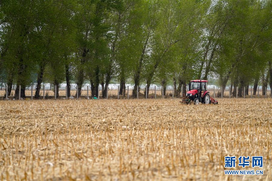 （新華全媒頭條&middot;圖文互動）（9）為現(xiàn)代農(nóng)業(yè)探新路&mdash;&mdash;來自吉林梨樹的田野報(bào)告