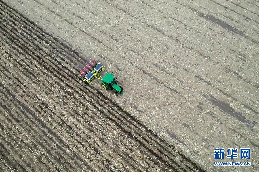 （新華全媒頭條&middot;圖文互動）（11）為現(xiàn)代農(nóng)業(yè)探新路&mdash;&mdash;來自吉林梨樹的田野報(bào)告