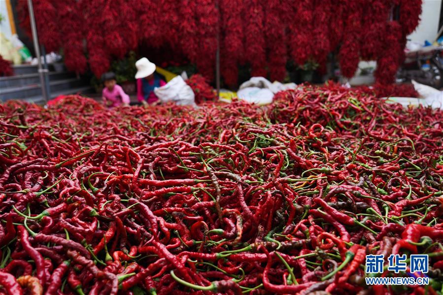 （走向我們的小康生活&middot;決戰(zhàn)決勝脫貧攻堅(jiān)&middot;圖文互動(dòng)）（7）甘青交界處的跨越&mdash;&mdash;保安族、撒拉族的脫貧故事 