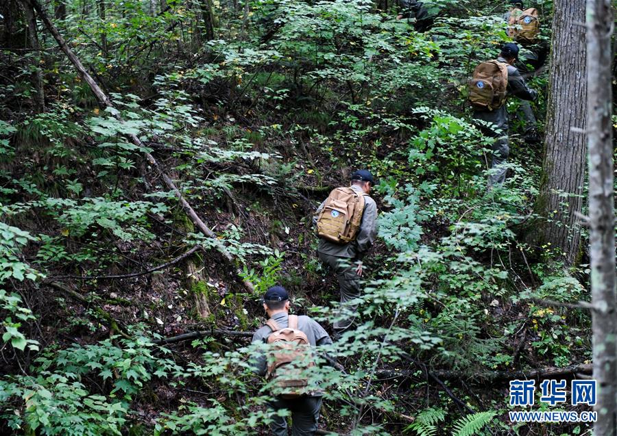 （圖文互動(dòng)）（2）長白山60年書寫&ldquo;生態(tài)答卷&rdquo;