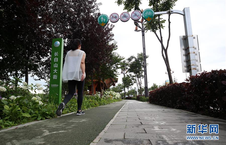 （圖文互動(dòng)）（7）長白山60年書寫&ldquo;生態(tài)答卷&rdquo;