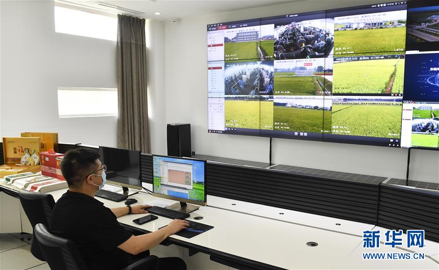 （新華全媒頭條&middot;走向我們的小康生活&middot;圖文互動）（4）黑土地上是我家&mdash;&mdash;在吉林，一瞥中國東北鄉(xiāng)村美麗未來