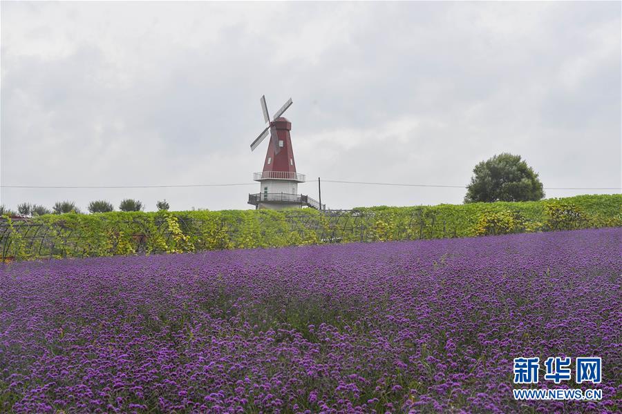 （新華全媒頭條&middot;走向我們的小康生活&middot;圖文互動）（6）黑土地上是我家&mdash;&mdash;在吉林，一瞥中國東北鄉(xiāng)村美麗未來
