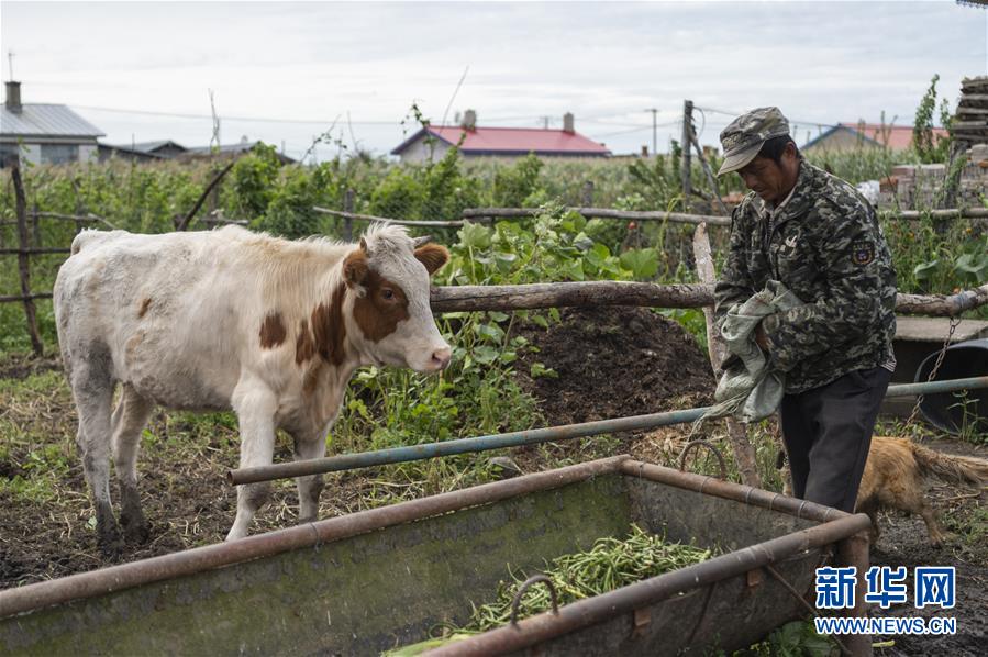 （決戰(zhàn)決勝脫貧攻堅(jiān)&middot;圖文互動(dòng)）（2）團(tuán)結(jié)村的李輝新傳