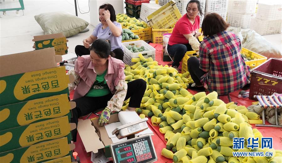 （決戰(zhàn)決勝脫貧攻堅(jiān)&middot;圖文互動(dòng)）（3）同飲一江水 攜手&ldquo;斬窮根&rdquo;&mdash;&mdash;深圳對(duì)口廣西河池、百色扶貧協(xié)作見(jiàn)聞