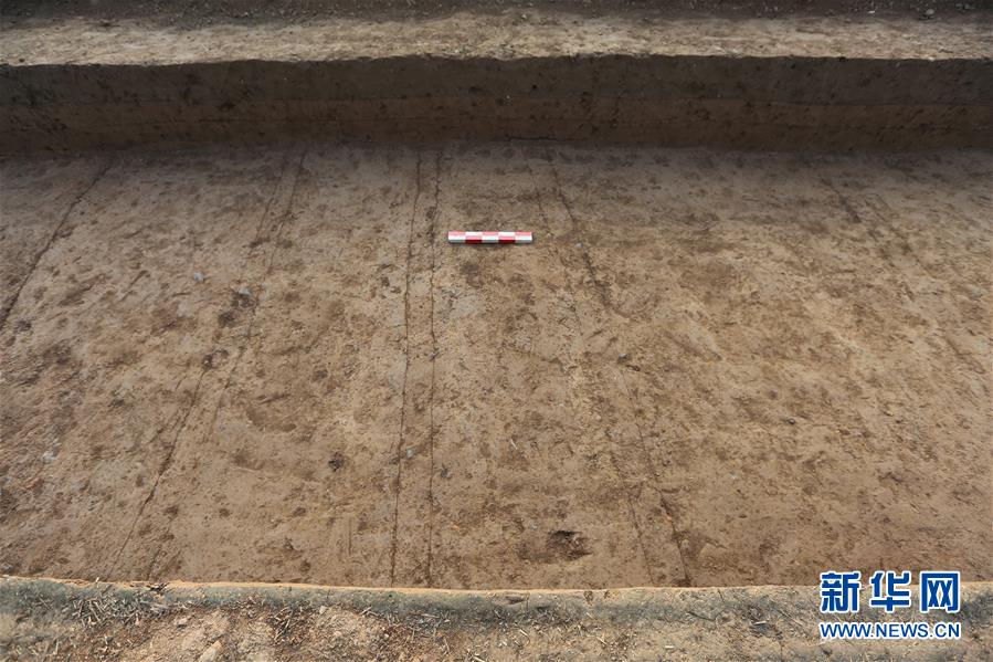 (圖文互動(dòng))(2)漢魏洛陽(yáng)城東西向大道重現(xiàn)天日 見(jiàn)證500多年間王朝更迭