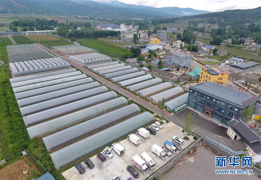 （走向我們的小康生活&middot;決戰(zhàn)決勝脫貧攻堅&middot;圖文互動）（1）把產(chǎn)業(yè)興盛之&ldquo;根&rdquo;扎進大涼山