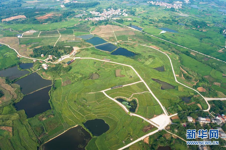 （新華全媒頭條&middot;走向我們的小康生活&middot;圖文互動）（1）特殊之年，荊楚大地書寫不平凡的答卷