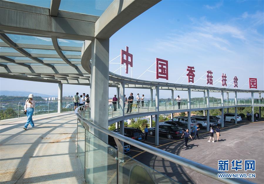 （新華全媒頭條&middot;走向我們的小康生活&middot;圖文互動）（2）特殊之年，荊楚大地書寫不平凡的答卷